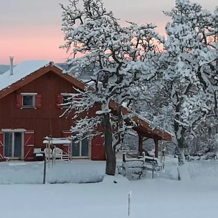 Le Chalet Au Vieux Vignoble Avec Espace Sauna Et Jacuzzi Bouxwiller  Esterno foto